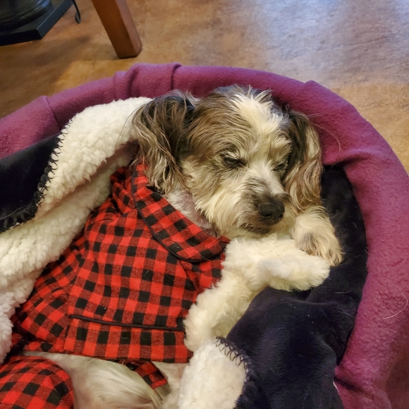 Meet your Posher, In sun - Picture 2 of 2